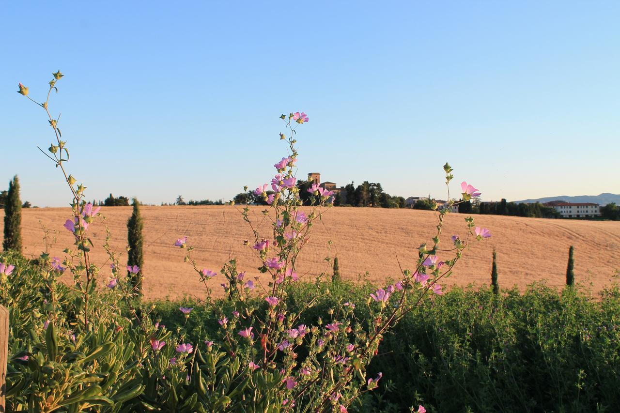 Il Poggio Della Pieve Apartments Country house Santa Luce